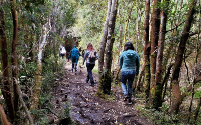 Educador al aire libre