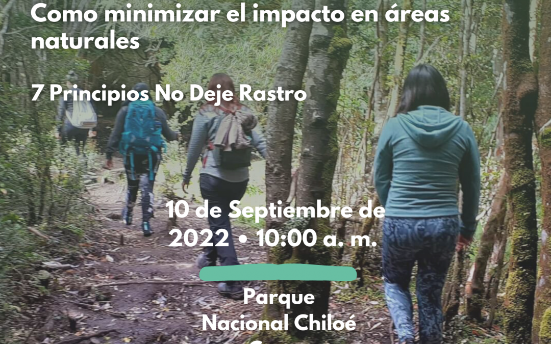 Taller de monitor y monitora en No Deje Rastro