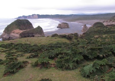 Preocupadxs por continuar creando espacios de autocuidado como forma de volver a encontrarnos y tomar conciencia sobre nuestras energías, nuestras emociones en nuestrxs cuerpos y nuestro ser en el andar. ..