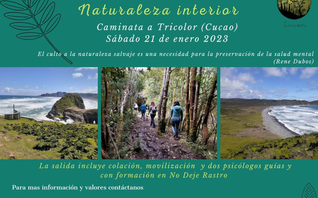 Ciclo de experiencias en la naturaleza